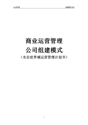 商业运营管理计划书